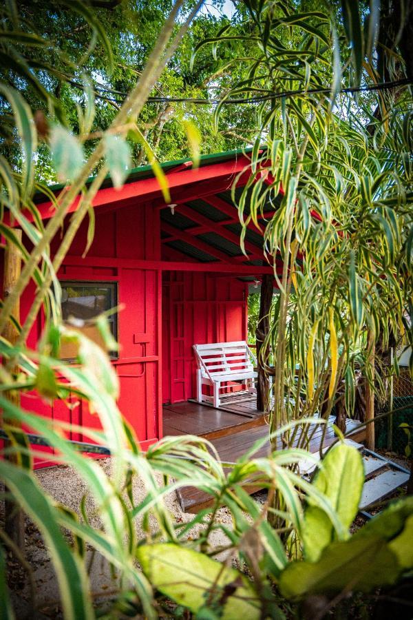 Pura Vida Mini Hostel Santa Teresa Playa Santa Teresa  Eksteriør bilde