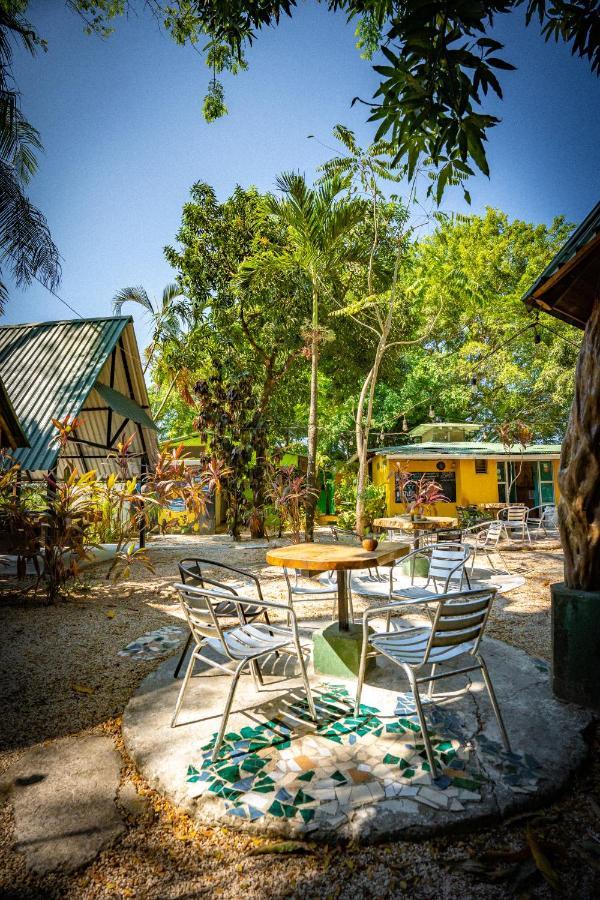 Pura Vida Mini Hostel Santa Teresa Playa Santa Teresa  Eksteriør bilde