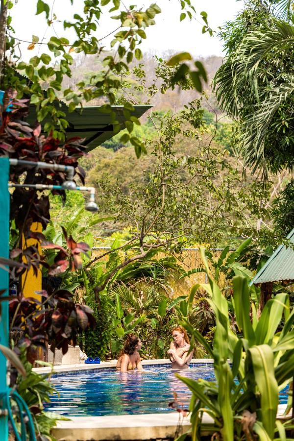 Pura Vida Mini Hostel Santa Teresa Playa Santa Teresa  Eksteriør bilde