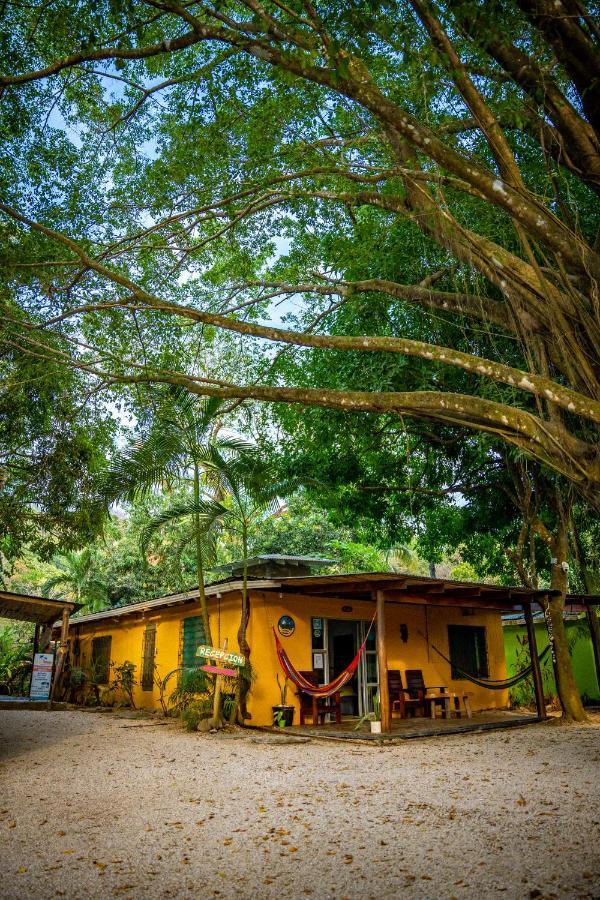 Pura Vida Mini Hostel Santa Teresa Playa Santa Teresa  Eksteriør bilde